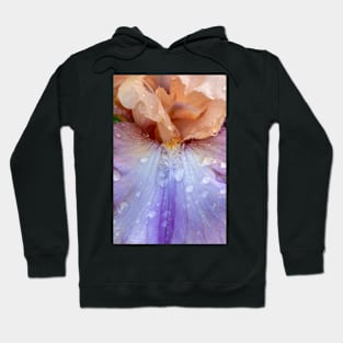 Iris Waits Hoodie